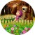 39ddd7ac6605248a96490ab261b347fc