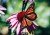 a35692d098e97da28b9174af73e19bfc