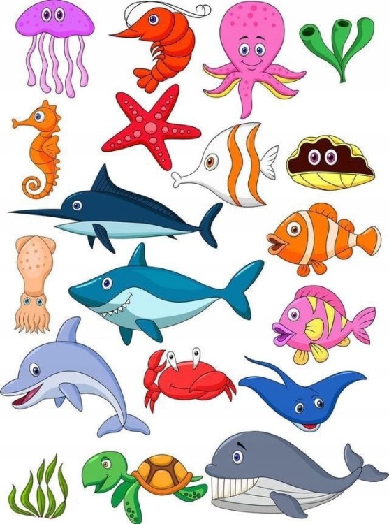 2cb41fe0135f6f43ea6442bf48e9d185