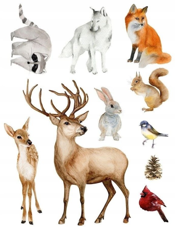 3f2ccf2cfa378b09bd2168ac10333193