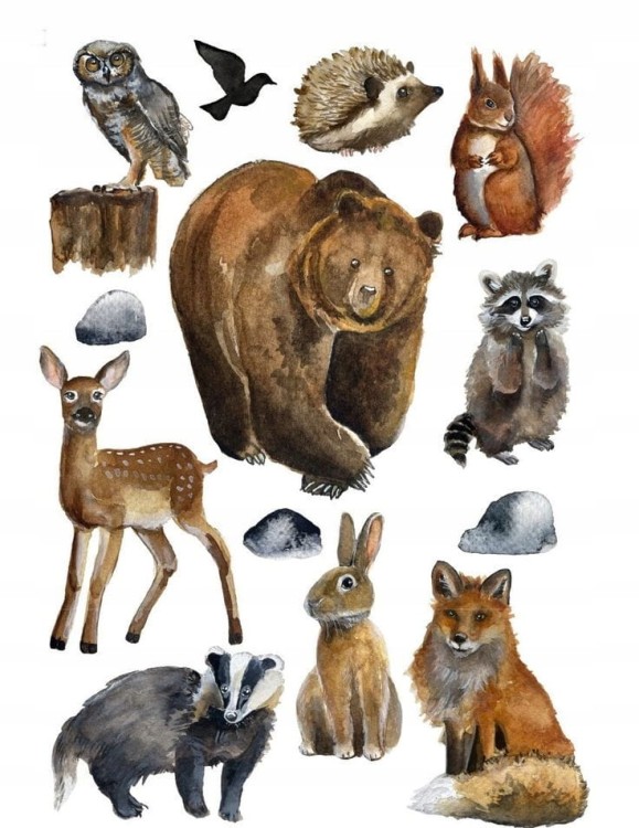 1433e8b9466e84f41075ce0c4b424f01