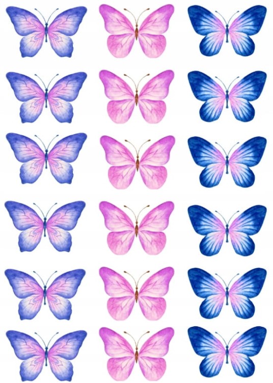 87cbdf0f6632c029a49e74873c3bdcc2