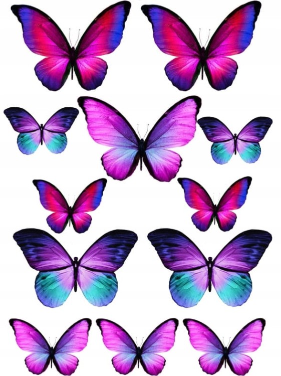 f5657f549b27b6c676dcf362b5ea37f3