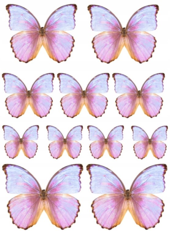 a7accfaeaea06be52b25bbf47d158cfe