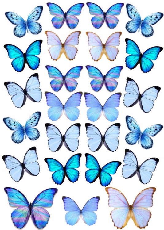 bbf655324f85f64798bc5eca74c034da