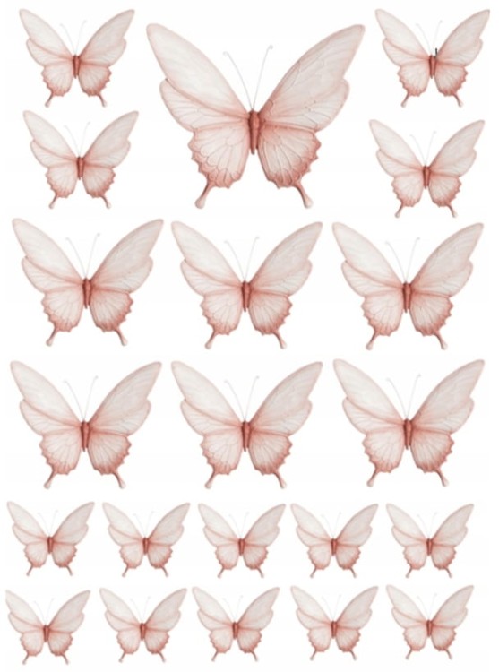 e284573042f5f44d1f4c0b165198fa33