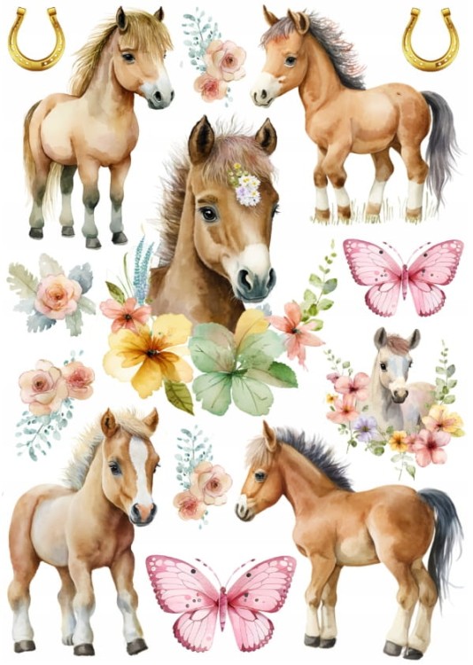 58f423d146c5a708df52cf75705201ba