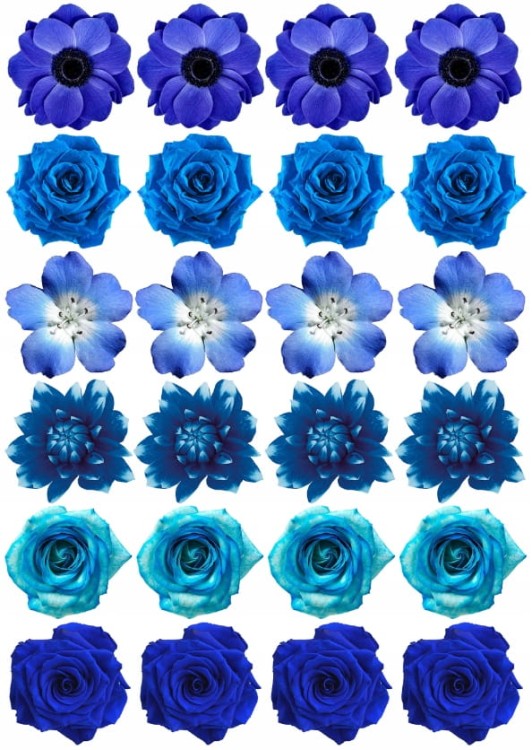 8760f68f9e38e2bc9cd55177181a9f9a