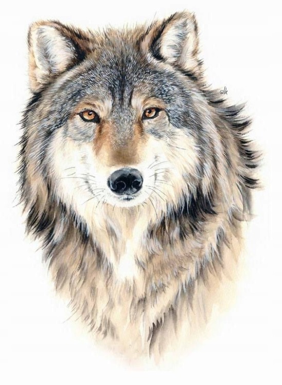 64b735dc0154baead8016865131c7ba0