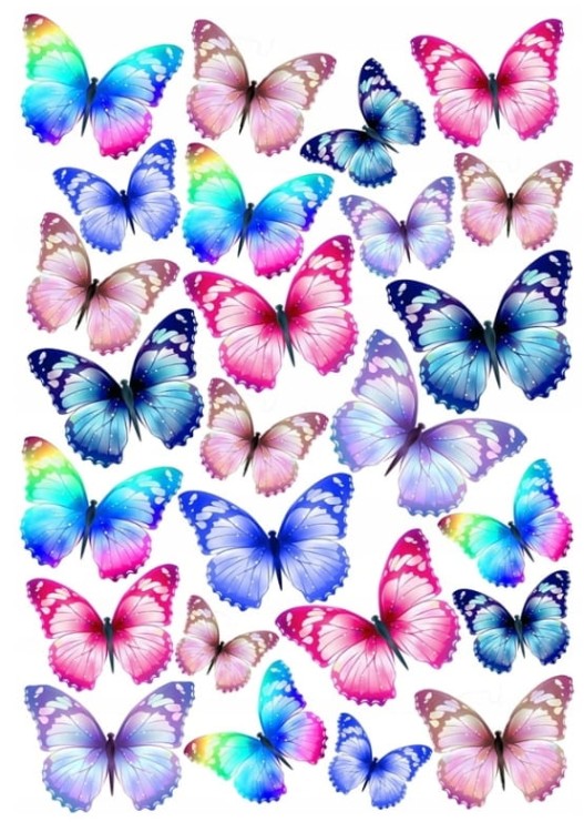 9dc3d6a584e06ffb60fdaf48038e0a8d