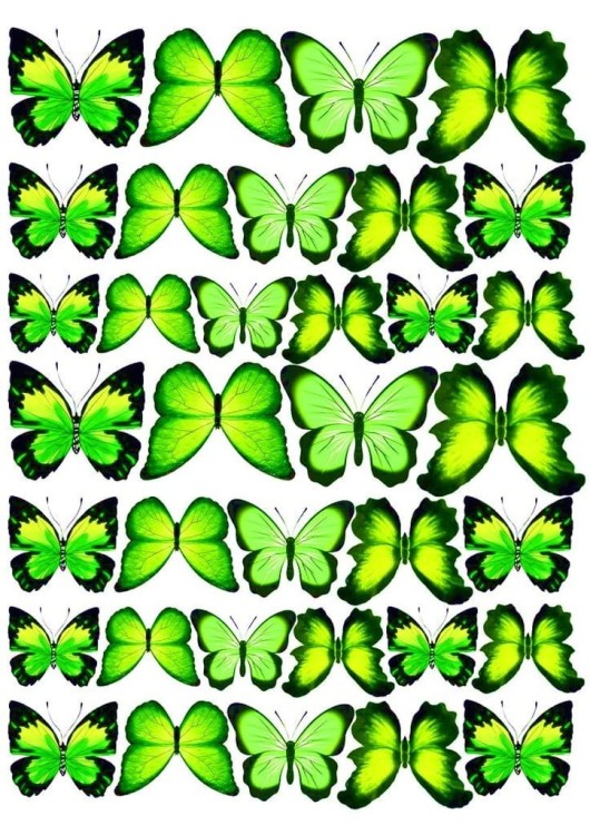 527a28435a4e08d30c06be726f8cc075
