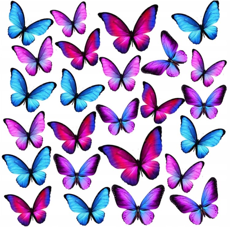 e23e9550ad20d3548f093f0aaf7d9dba