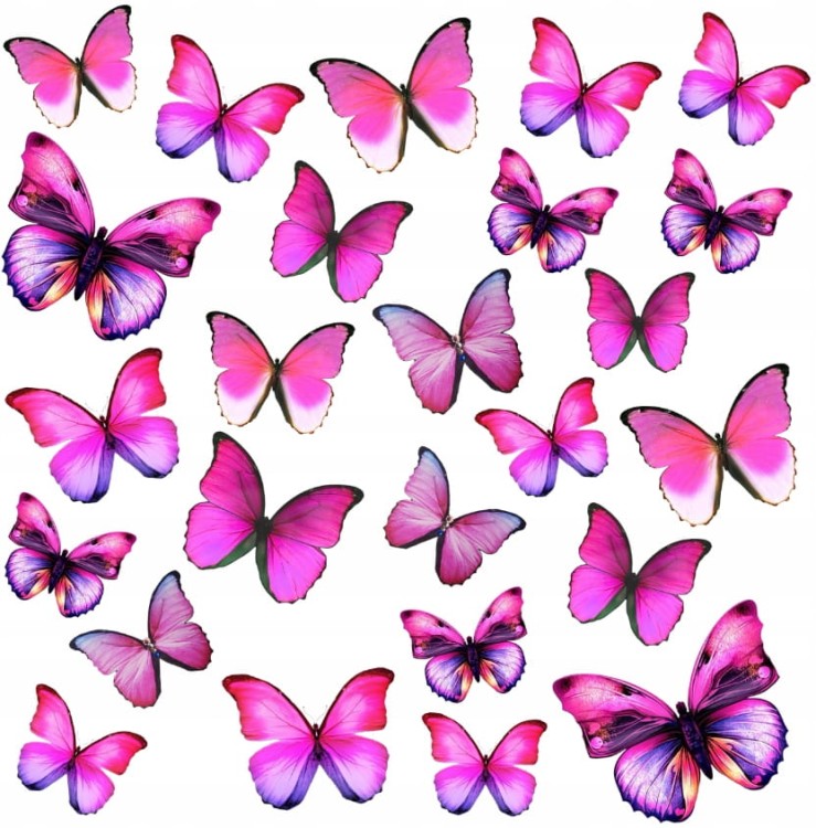 5fd26925ab561a4393d818aad989736a