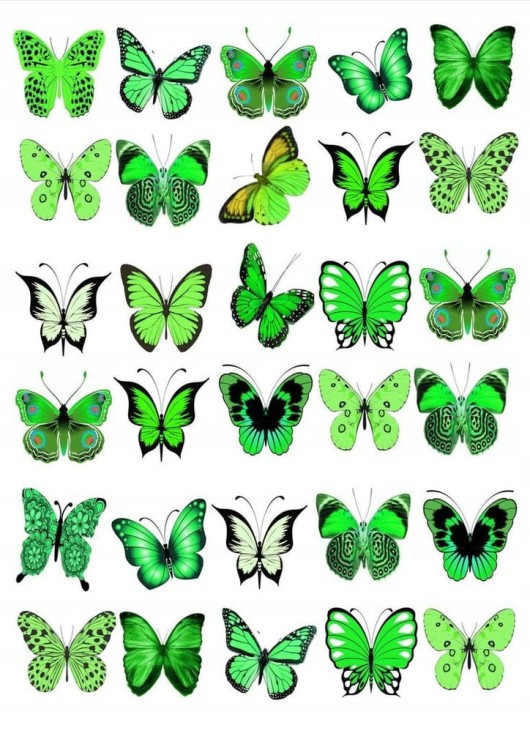 a4f7c973f2bfc7f7167f8c055536a79c