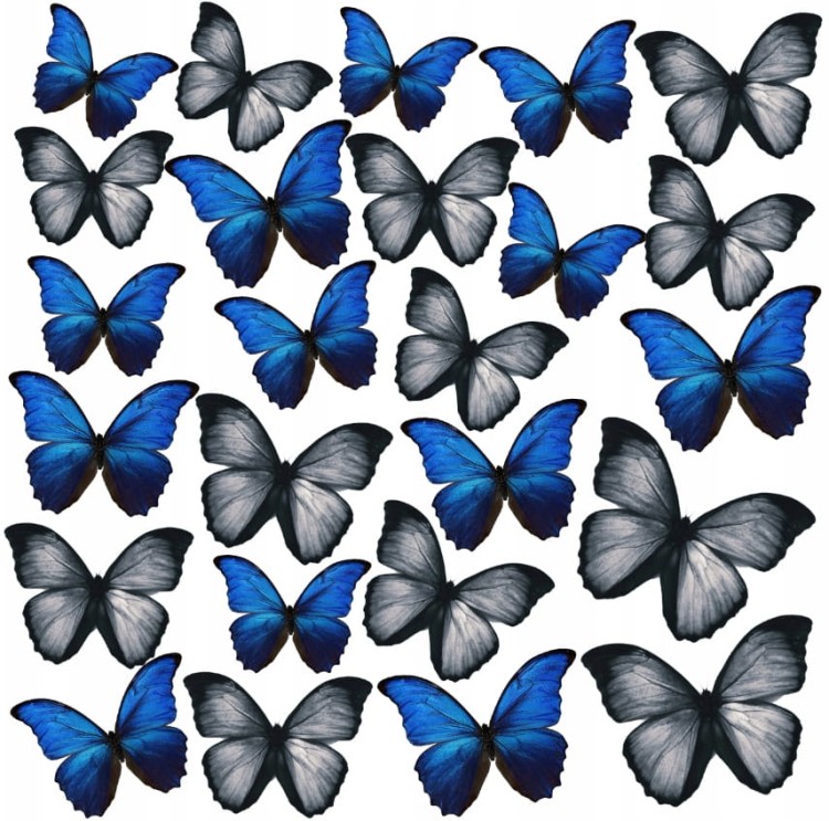 56d0ca9eed2fc22151f24af18089626b