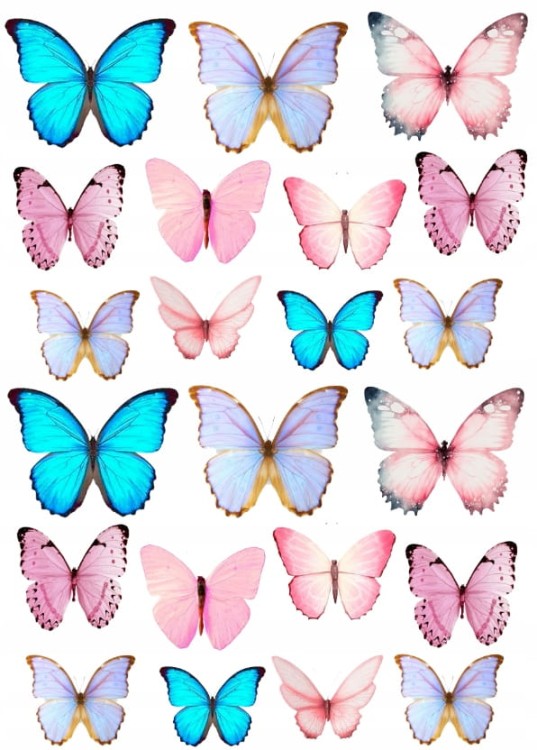 4f5d043525b5e45a995604e6d0b7af03