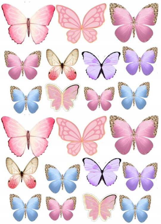 3250d05bc6044b2774e575aecc9e5bae