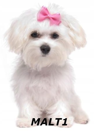 568f03d1c889f3174a9b9cd7d17003b7