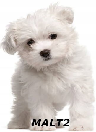 afedd4e329ae54b6b5dc107b76a79520