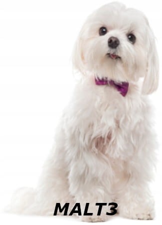 2446f967ee67bea412f78066e3fbbdf6