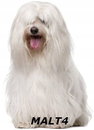 9ea520a19412f8de96bddcc631183528