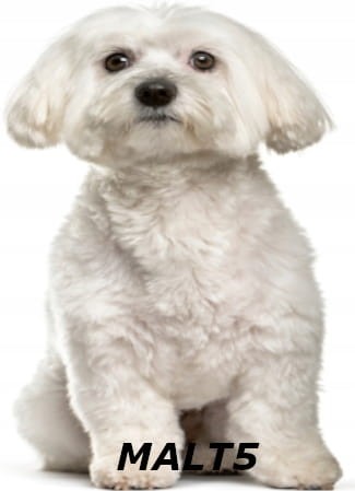 5425ac4bb36b94f030c50004406d8213