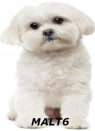 0a82d74fc2902cb4ac18e679a239565f