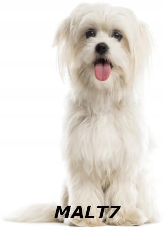 2d790725f4a27e851cb05856cb475976