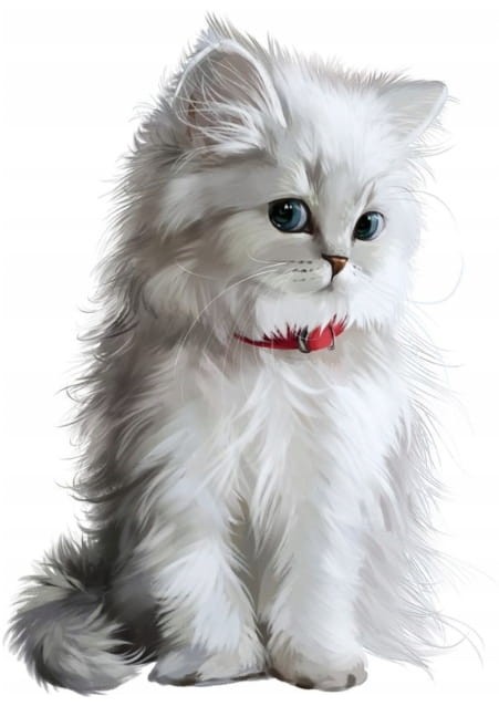 35a541fa652eb25f02a6a197da7dc3b4