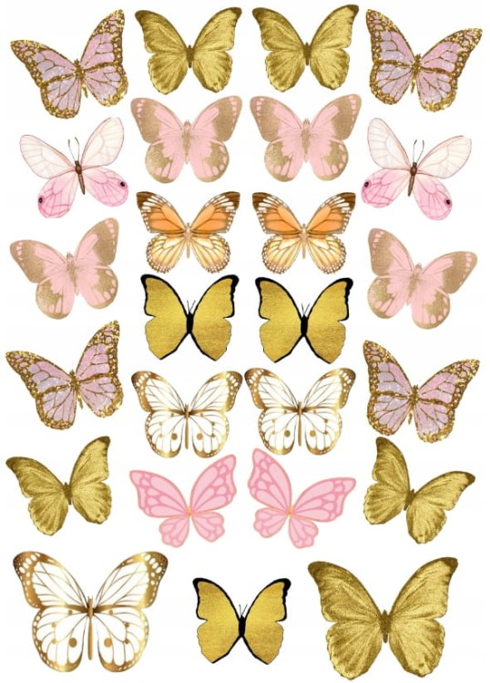 0e0e26e028c406745577f9c5e228b786