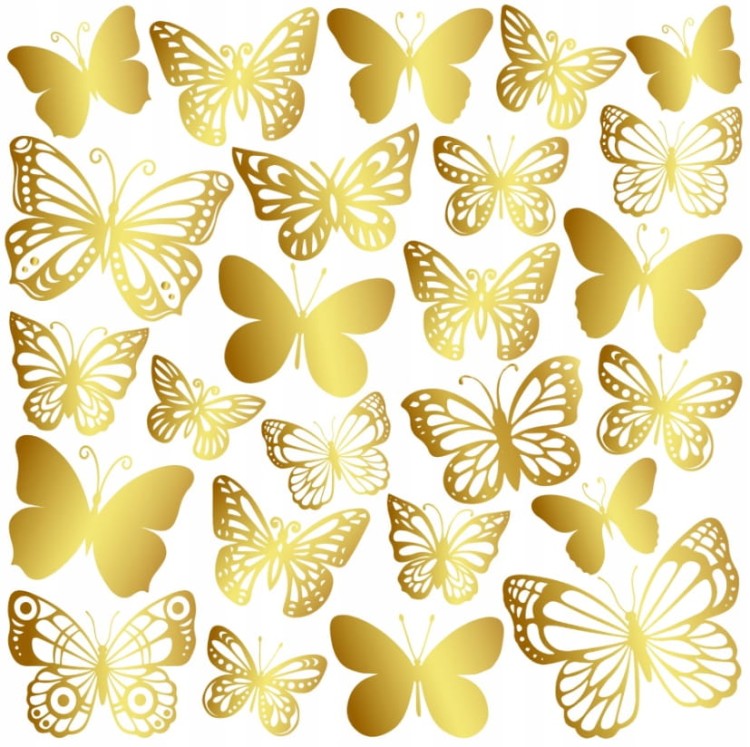 474363bd92dafc295b44a09c37313a2b