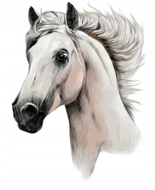 b29b487483843ae639b8d9e18d66f2c0