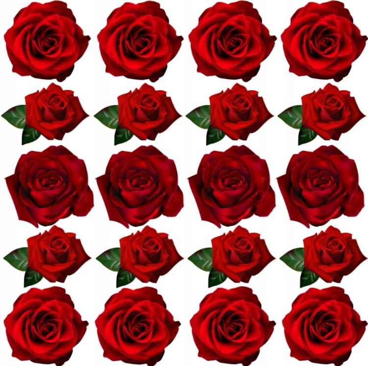 39b32da1a8ec94c41a6050adfa510c51