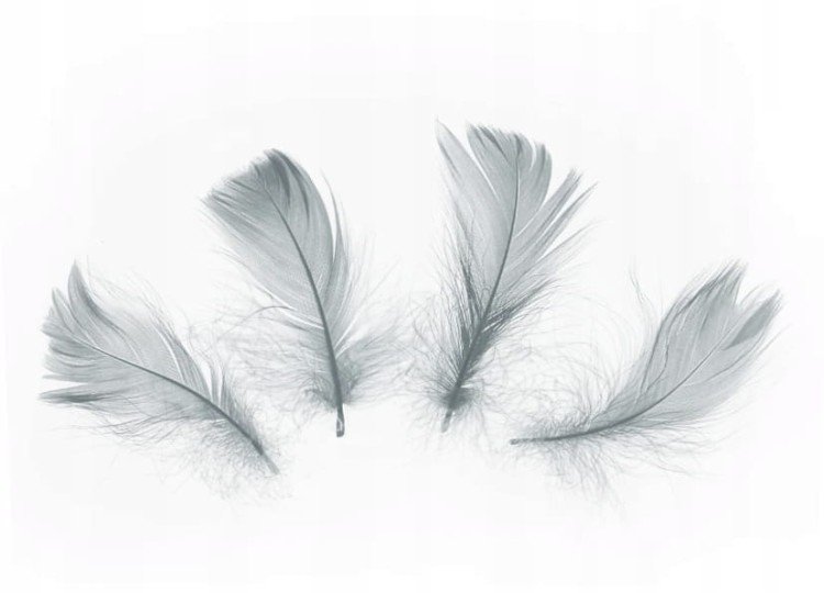 30e2ac5713e773ed9bd902bdf6eb66b0