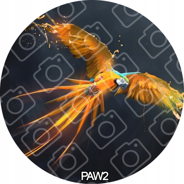 cdf2a1094892cd43324b2d0a69c4ab1d