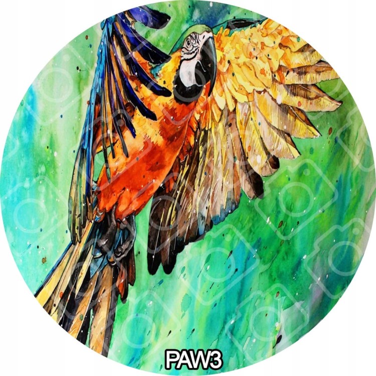 0dbcafed949f177d472bd2a7af79353d