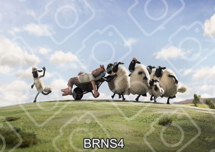 513cb7e23b2edcf3ac409c4f549ec805