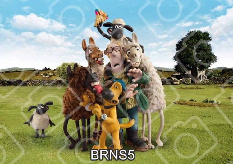 c2204444da6e53cc93ec9ead456d16fa