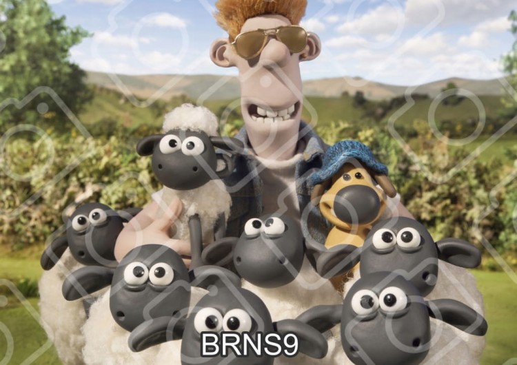 45bc5efab6ce3ccfd8c0ab03b0ced92a