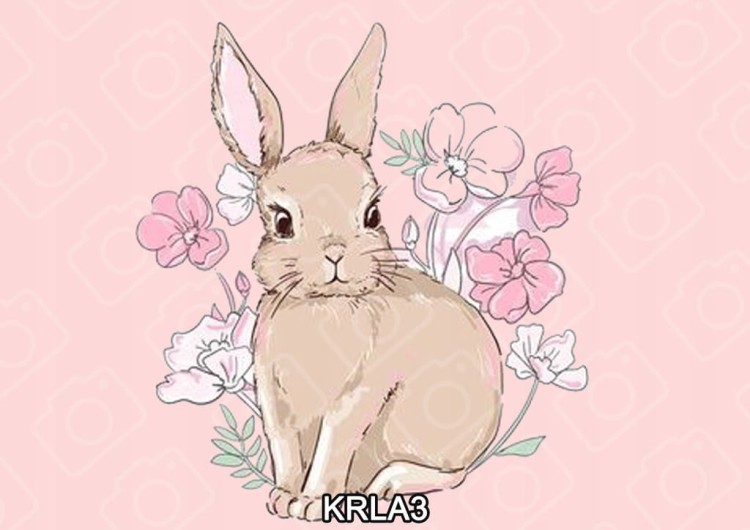 d3f6550fb76937e1535e8955ac8481a1