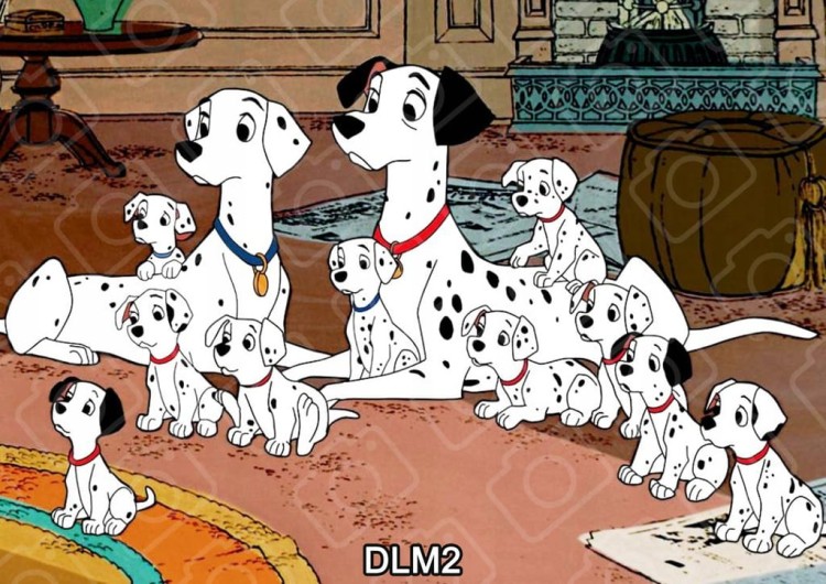 22522500982815b71aebe8c09798d453