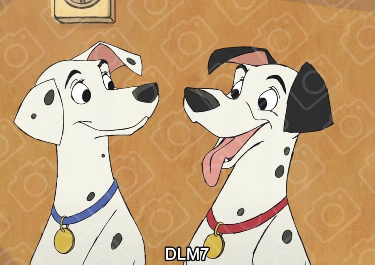 7a2722d57d50bd750a4b95a16ec83011