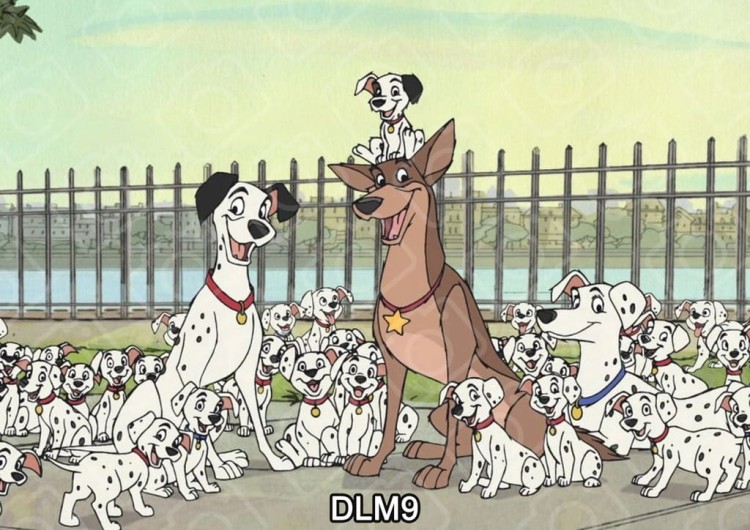 fbbf4c8e046ff0967da40786e2d80140