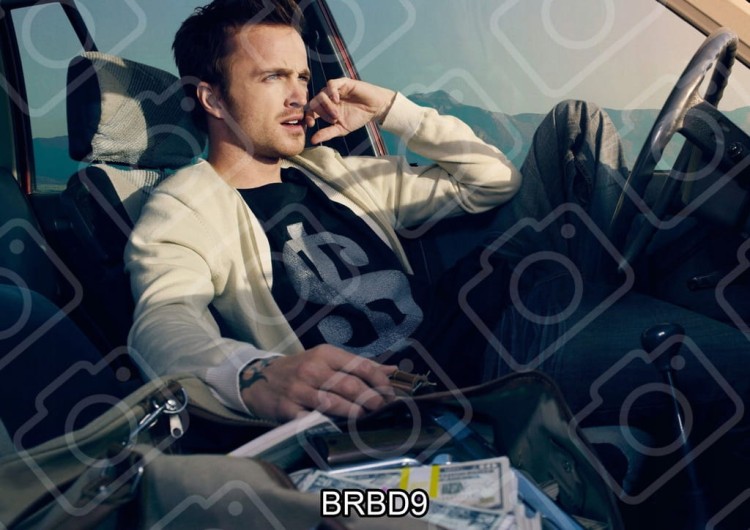 cc575bef7f74f1934fcfe35157721623