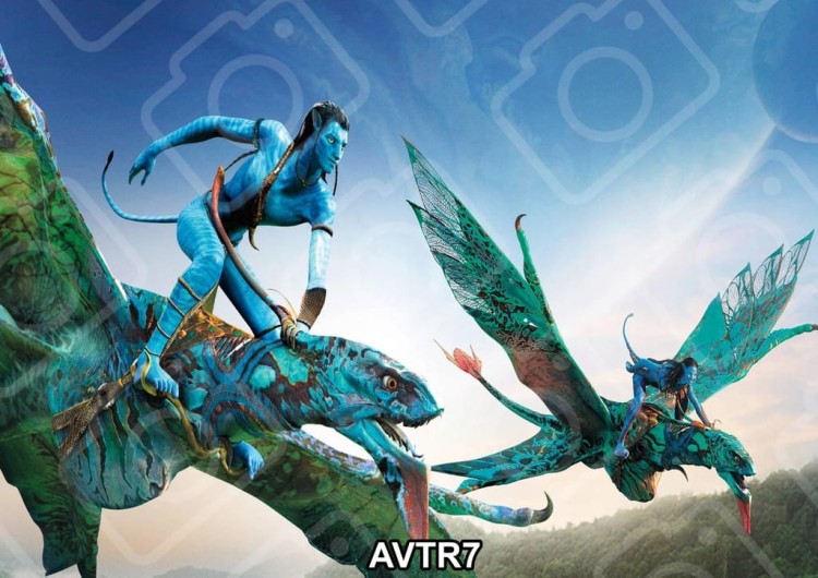 55ac00d7b995b2926c31b0afd480abb4