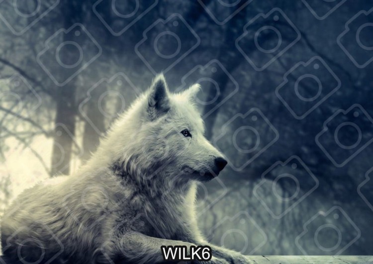 6262c295a7f39de0a311be1b64f922ae