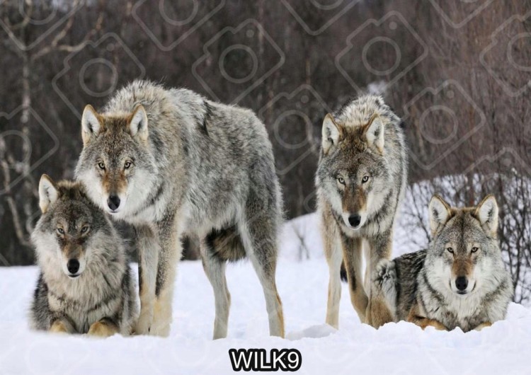 48df7d70a01f243c87aa3de55585b8f0