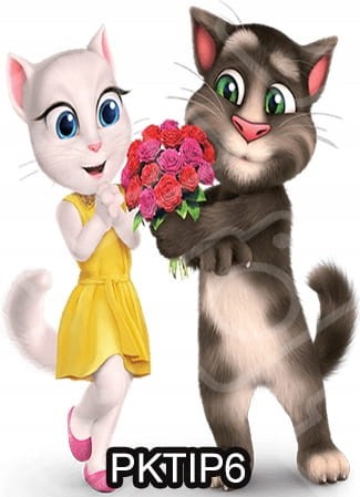 3c7b8fc36f1898622e57ef6839d84728