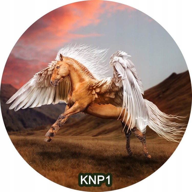 b3c54d9c692ff1dd5684c6321c5bbf7e