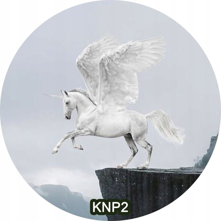 34fcaa9674714699de77dfc5e88deb7b